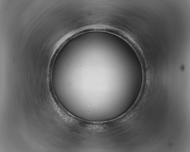X0000116261229200912211729