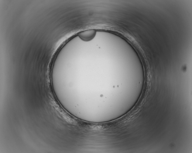 X0000116261230200912211729