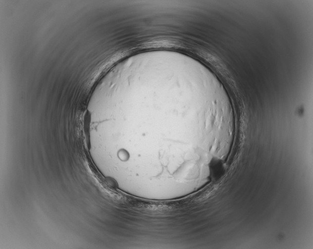 X0000116261233200912211729