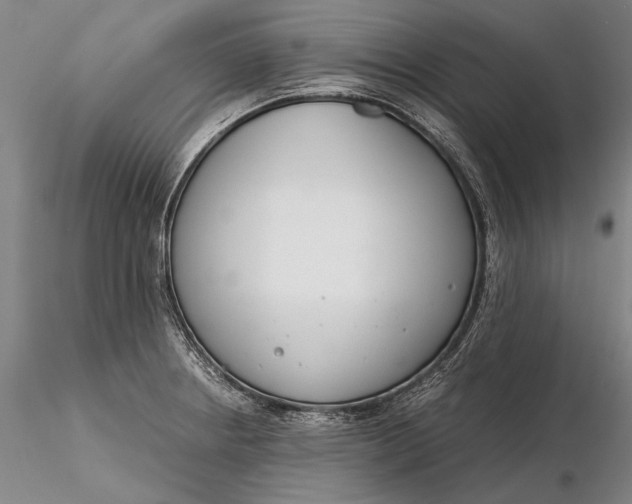 X0000116261234200912211730