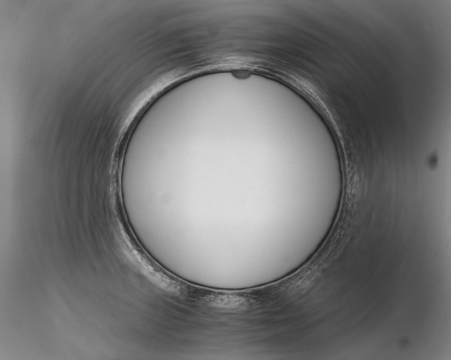 X0000116261235200912211730