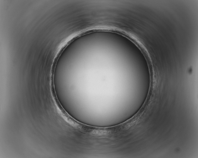 X0000116261237200912211730