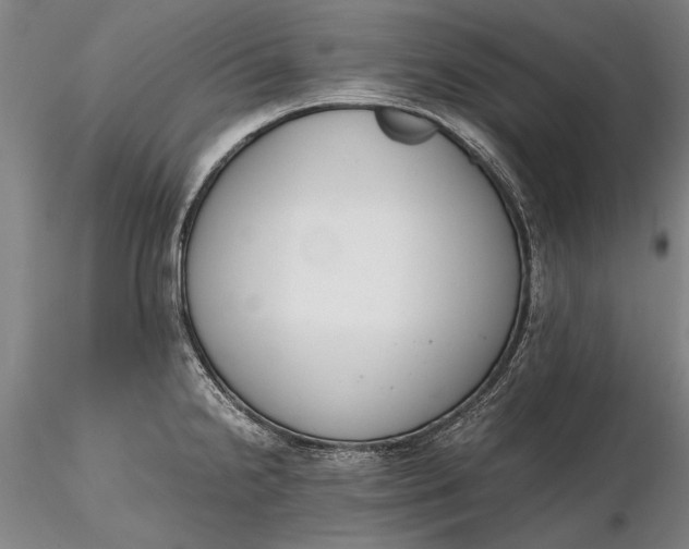 X0000116261238200912211730