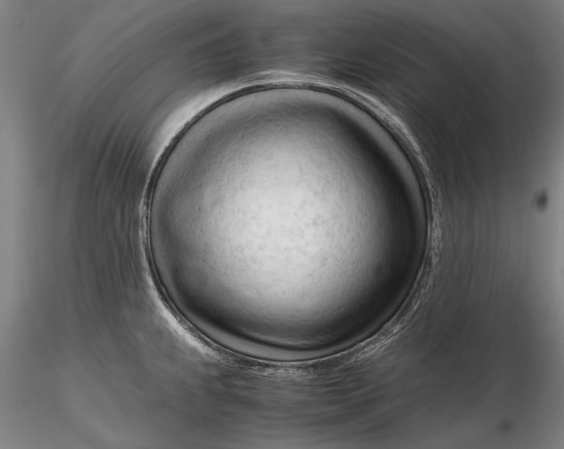 X0000116261239200912211730