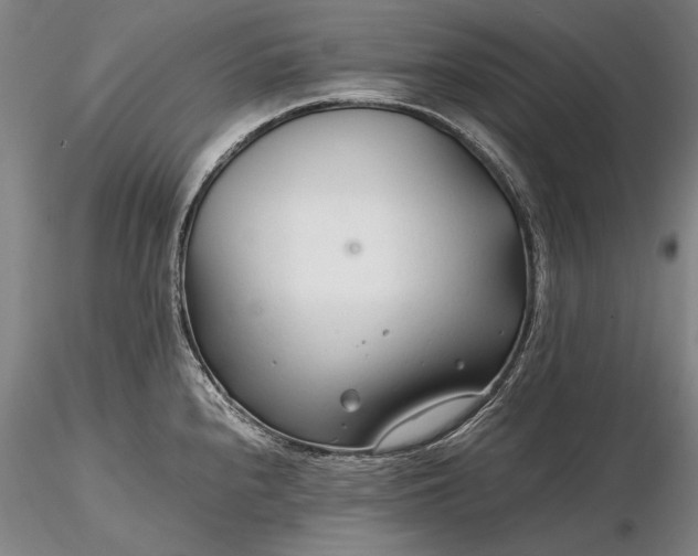 X0000116261240200912211730