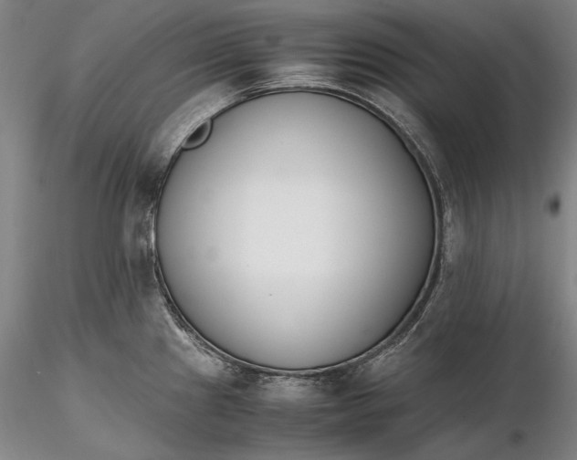 X0000116261241200912211730