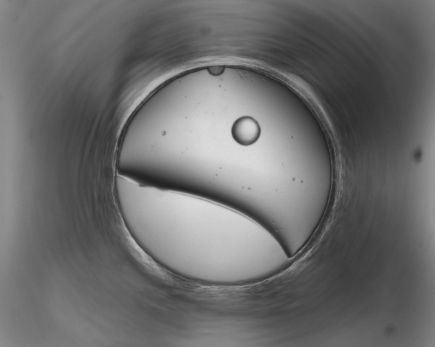 X0000116261244200912211730