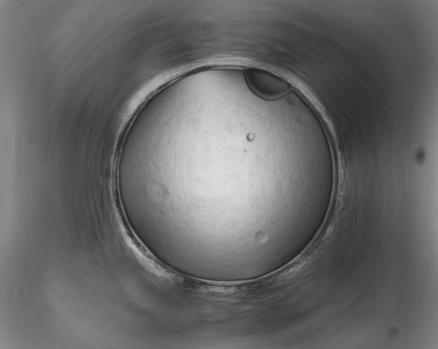 X0000116261245200912211730
