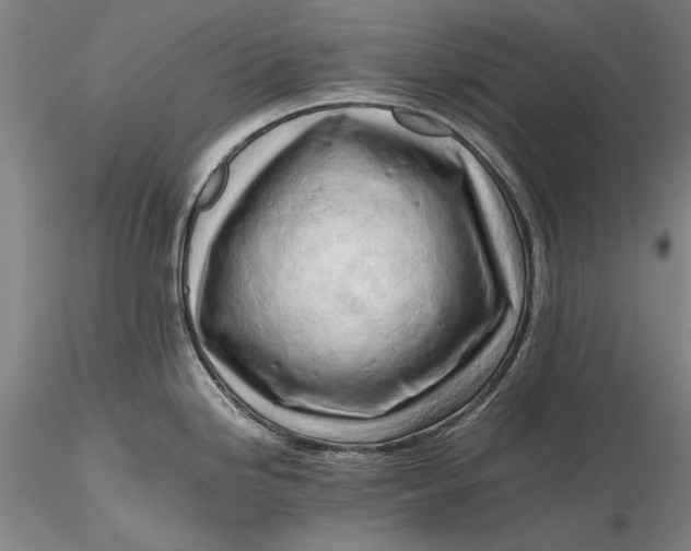 X0000116261246200912211730
