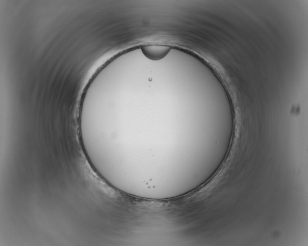 X0000116261248200912211730
