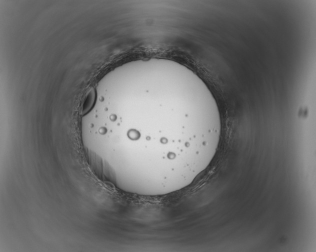 X0000116261249200912211729