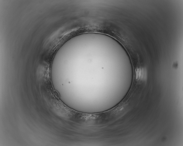X0000116261251200912211729
