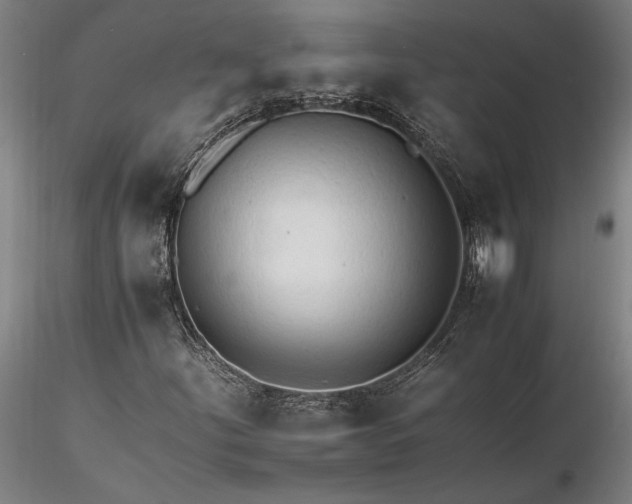 X0000116261252200912211729
