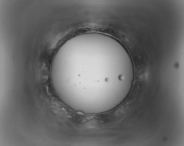 X0000116261253200912211729