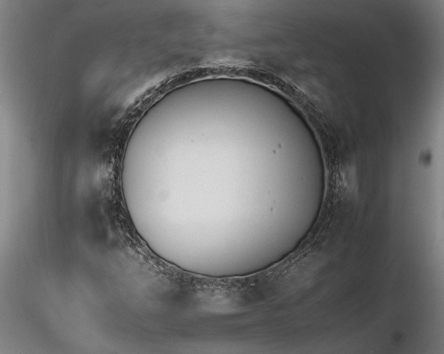 X0000116261254200912211729