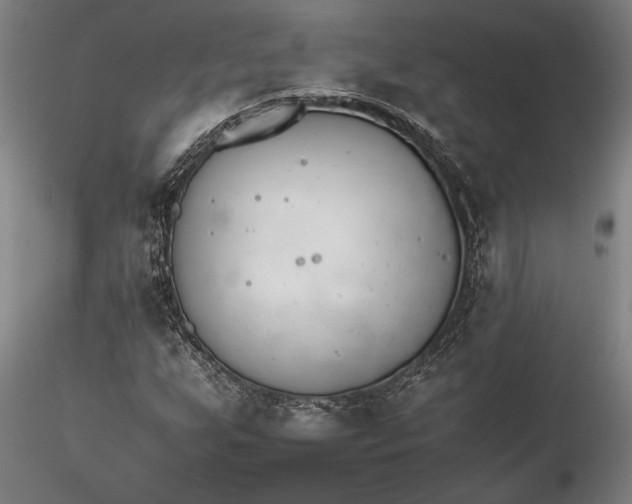 X0000116261255200912211729