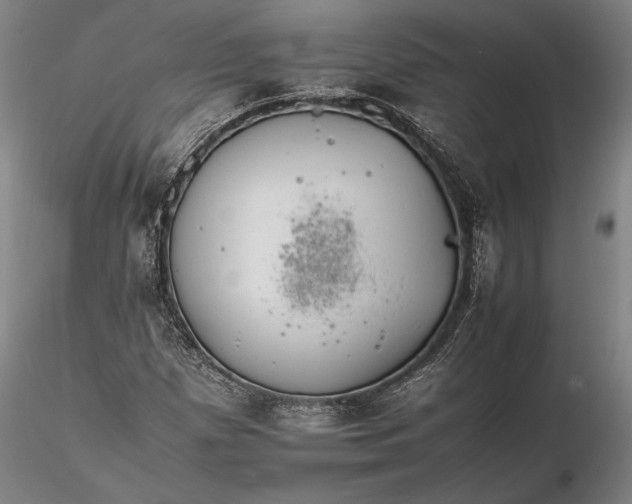 X0000116261257200912211729