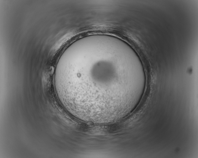 X0000116261259200912211729