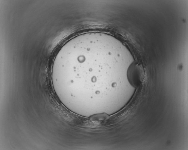 X0000116261261200912211729