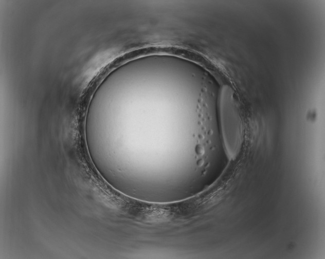X0000116261263200912211729