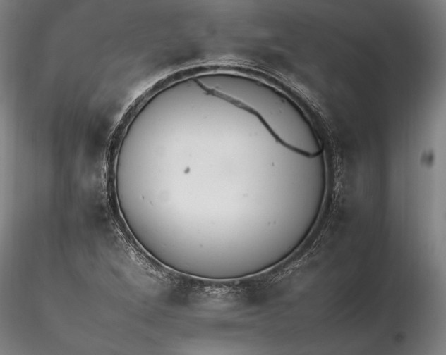 X0000116261264200912211729