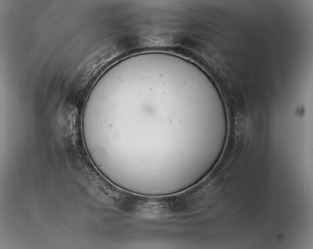 X0000116261265200912211729