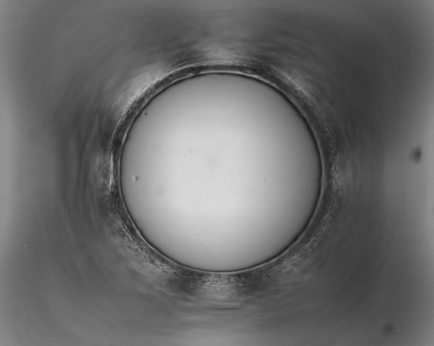 X0000116261267200912211729