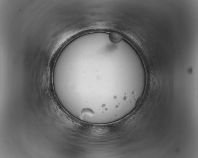 X0000116261270200912211729