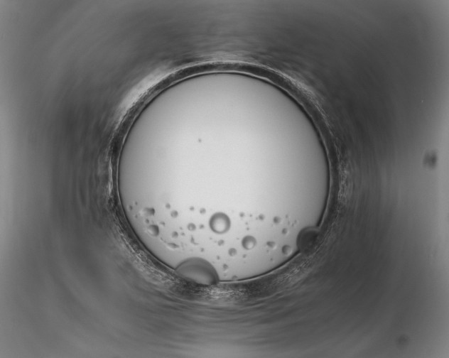 X0000116261271200912211729