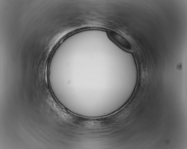 X0000116261272200912211729