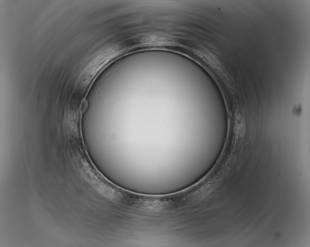 X0000116261273200912211729