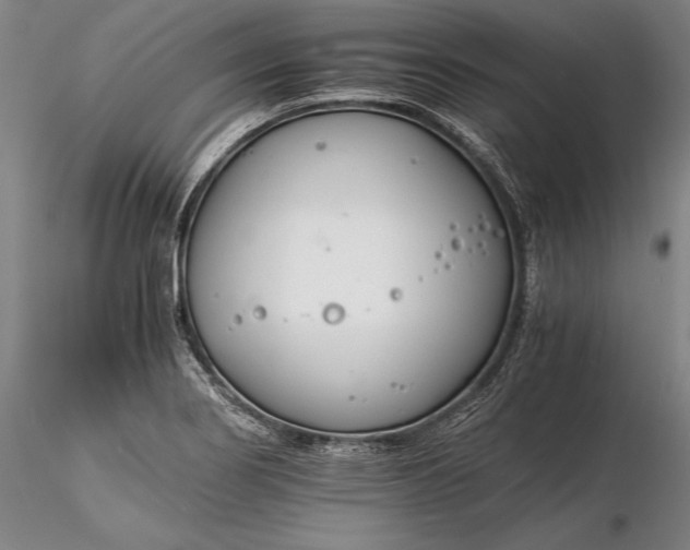 X0000116261274200912211729