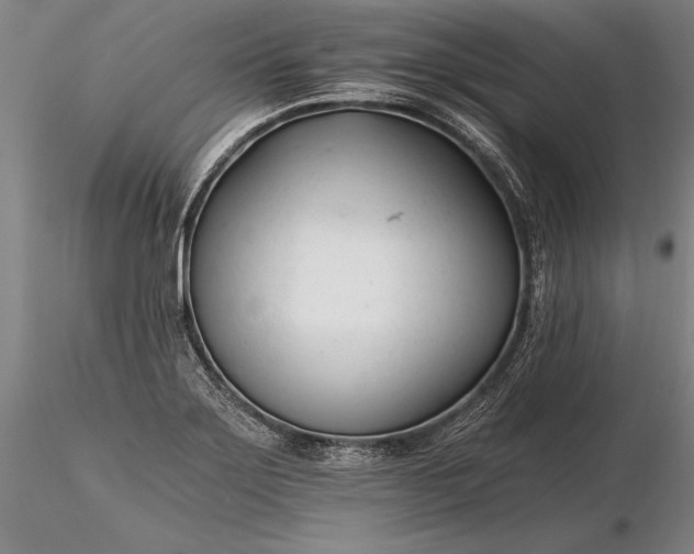 X0000116261275200912211729