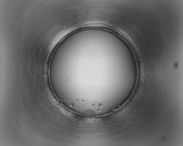 X0000116261277200912211729