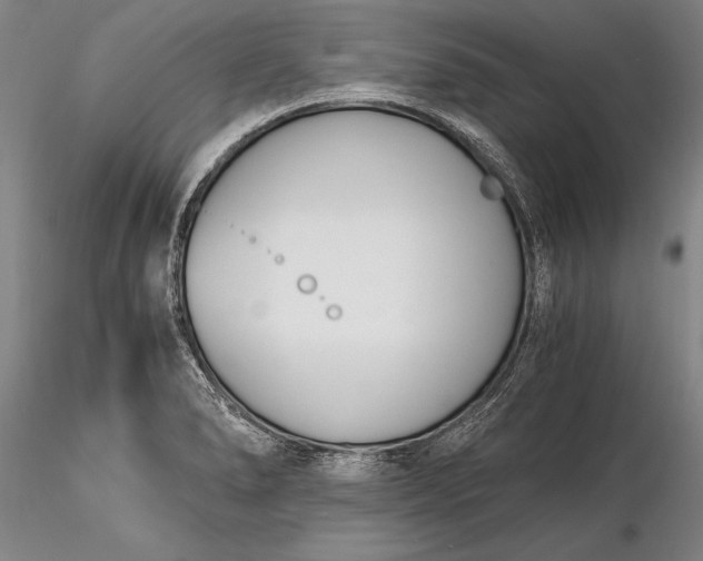 X0000116261278200912211729