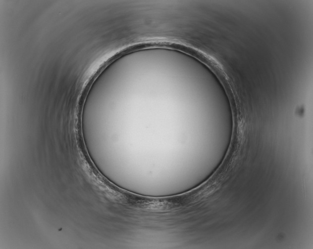 X0000116261279200912211729