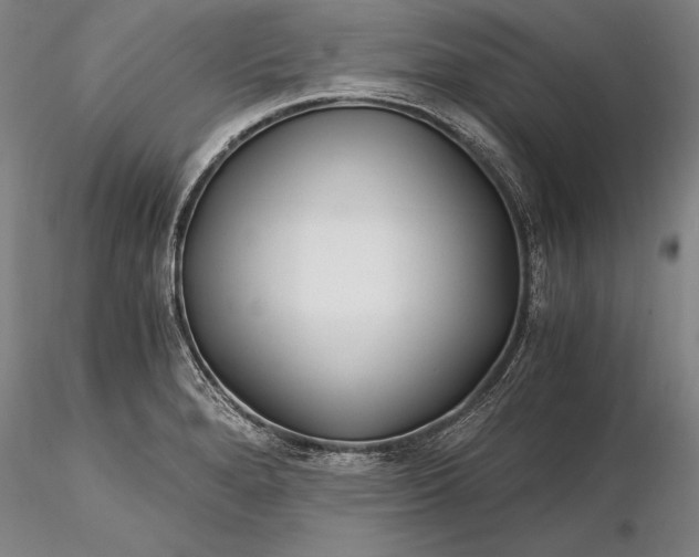 X0000116261280200912211729