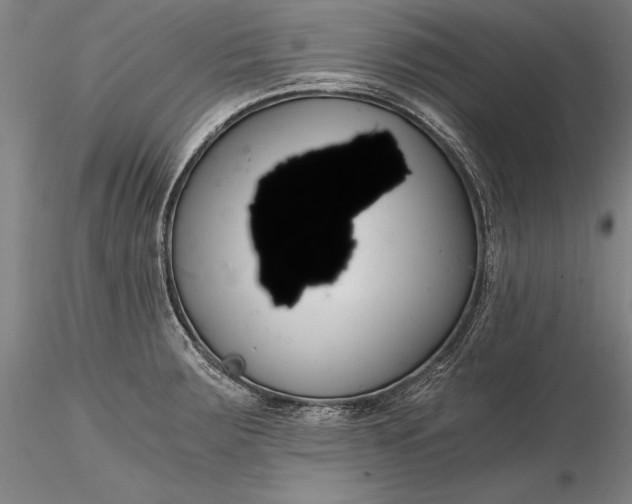 X0000116261283200912211729