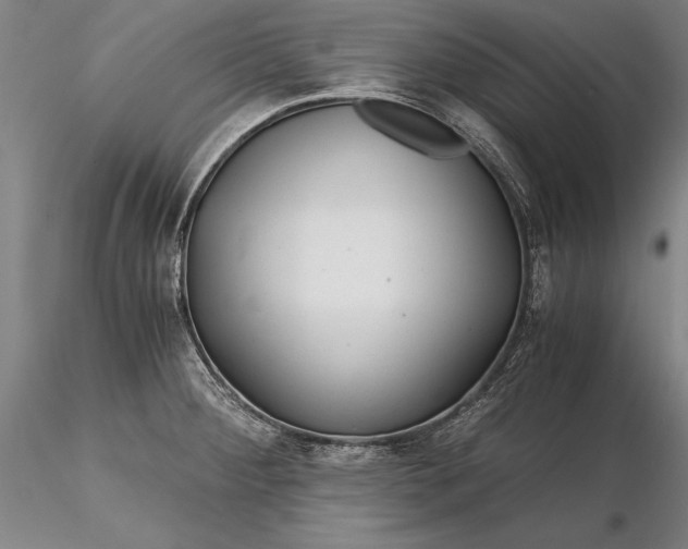 X0000116261284200912211729