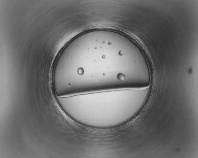 X0000116261285200912211729