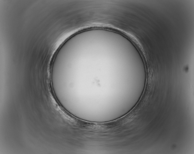 X0000116261287200912211729