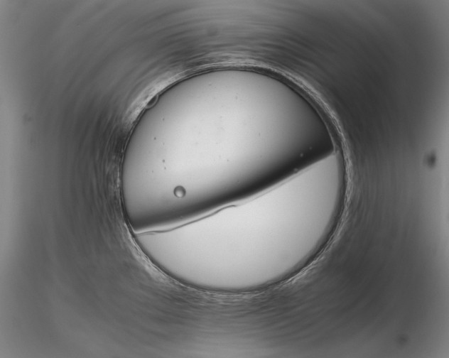 X0000116261289200912211729