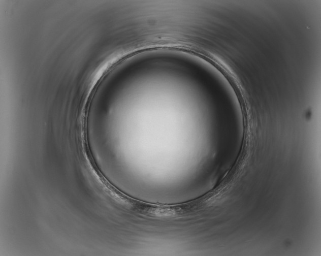 X0000116261291200912211728
