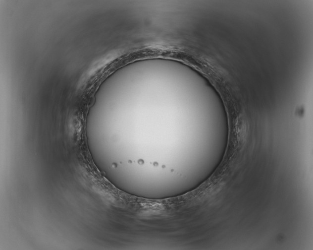 X0000116261302200912211728