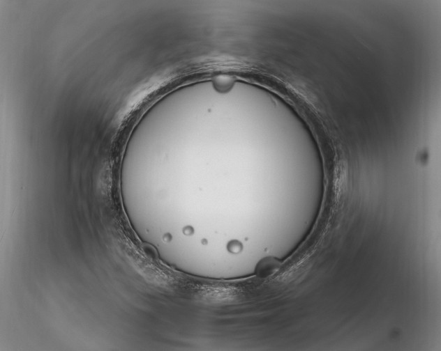 X0000116261309200912211728