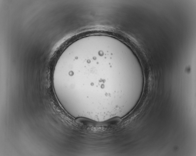 X0000116261310200912211728