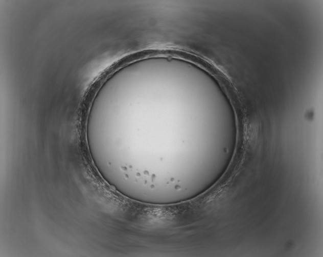X0000116261311200912211728