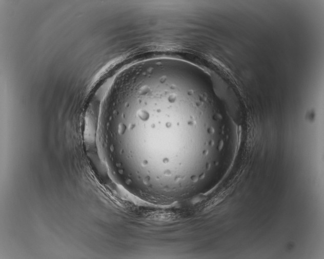 X0000116261314200912211728