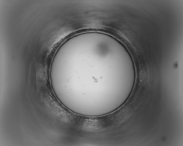 X0000116261315200912211728