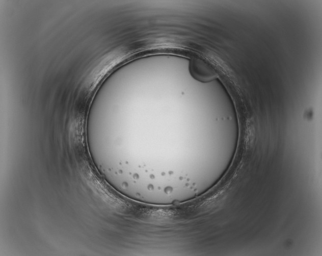 X0000116261321200912211728